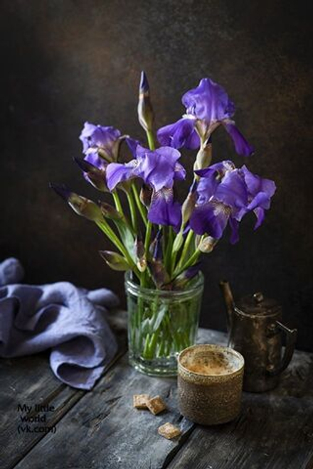 IONONE ALPHA naturel / ИОНОН АЛЬФА натуральный CAS 127-41-3