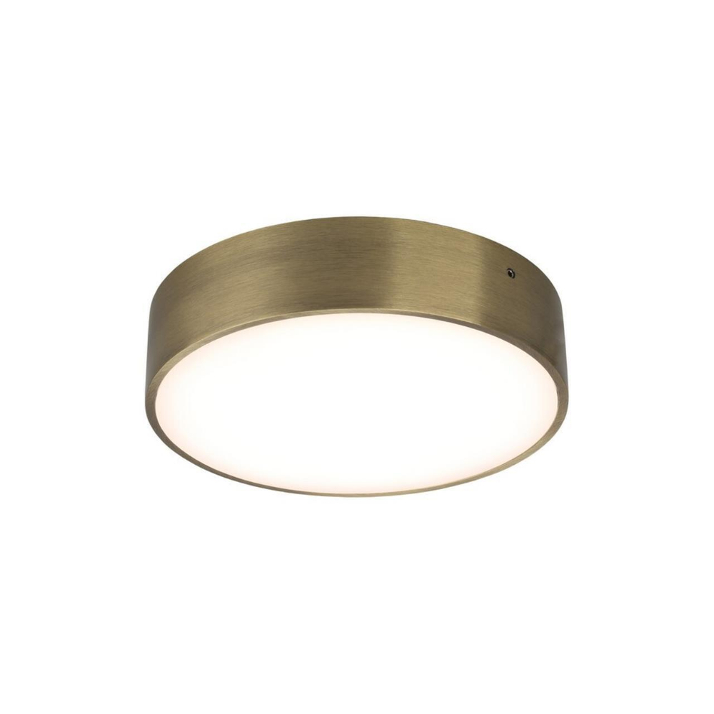 Потолочный светодиодный светильник Aployt Evon APL.0114.29.18