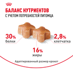 Royal Canin German Shepherd Puppy Немецкая овчарка Паппи Корм сухой для щенков породы Немецкая овчарка до 15 месяцев 3кг