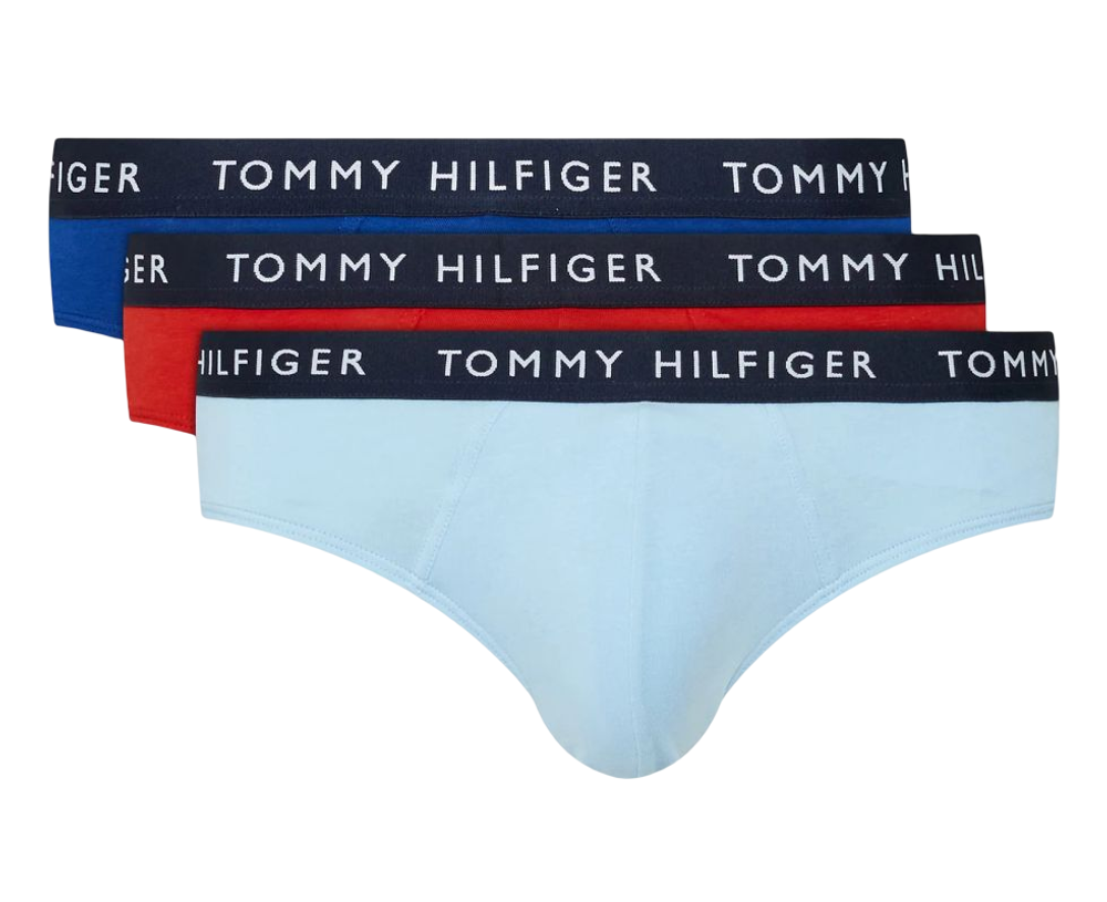 Боксерки теннисные Tommy Hilfiger Brief 3P - bold blu/iceberg/empire flm