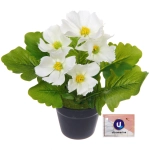 Цветочная композиция «Поцелуй лета» Космея белая 20см