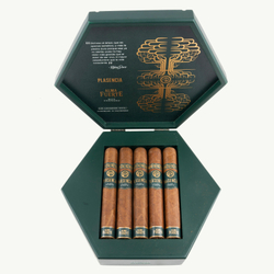 Plasencia Alma Fuerte Sixto I Hexagono Claro