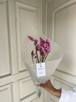 Букет из статицы