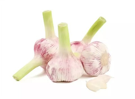 Чеснок молодой Узбекистан