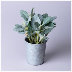 КОМПОЗИЦИЯ ДЕКОРАТИВНАЯ "КАЛАНХОЕ" ВЫСОТА=23 СМ