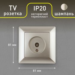 Розетка Intro Solo 4-301-04 TV одиночная, СУ, шампань