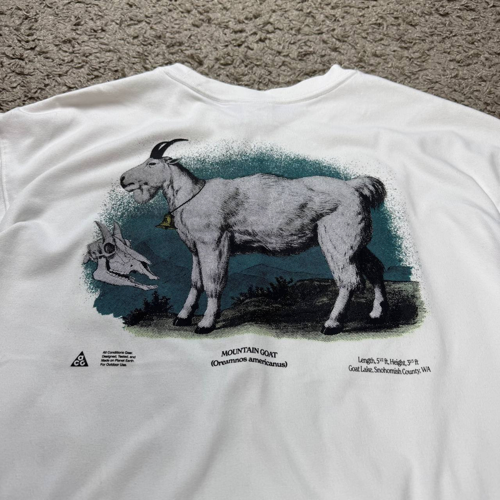 Футболка Nike ACG Goat