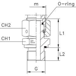 Штуцер FNE DL12 BSP 1/4"