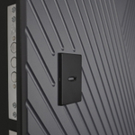 Стальная дверь "Бастион" с зеркалом. Заказная модель.