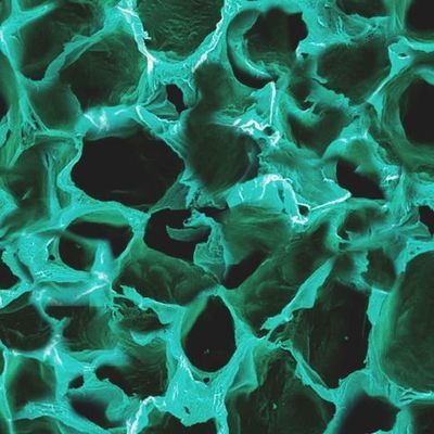 Зеленый лабиринт