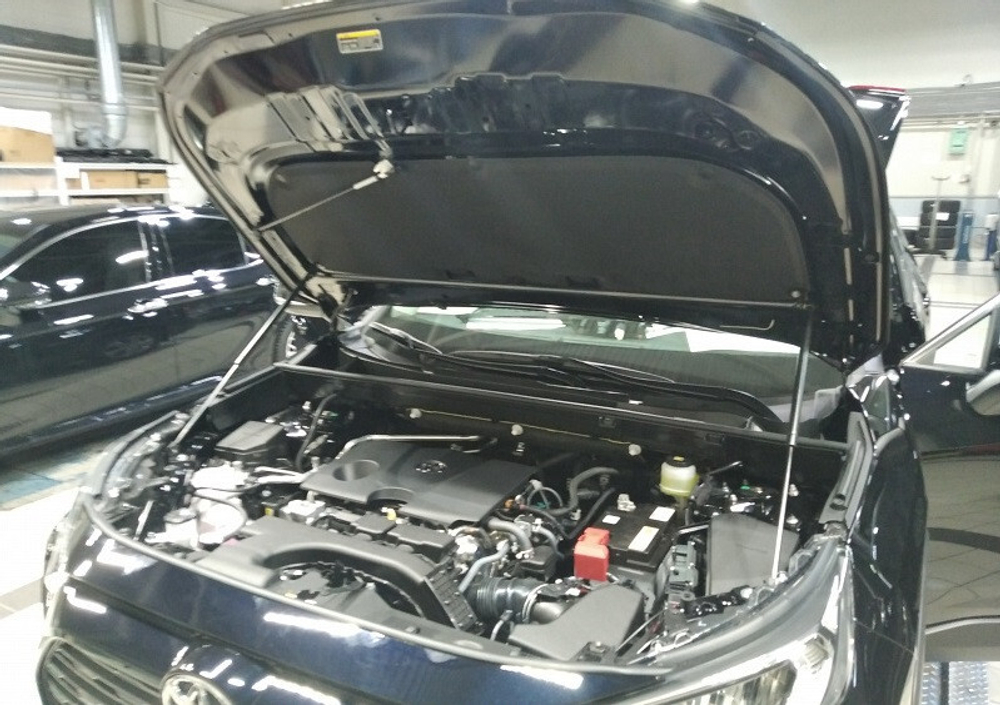 Амортизатор (упор) капота на Toyota RAV 4 UP 4427(с 2019 г.в.)Atlant