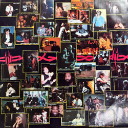 Виниловая пластинка Artists United Against Apartheid ‎– Sun City LP