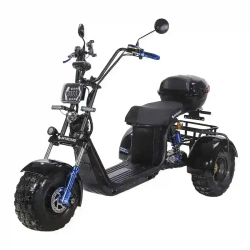 Электроскутер SKYBOARD CITYCOCO TRIKE BR40-3000 PRO FAST OFF-ROAD