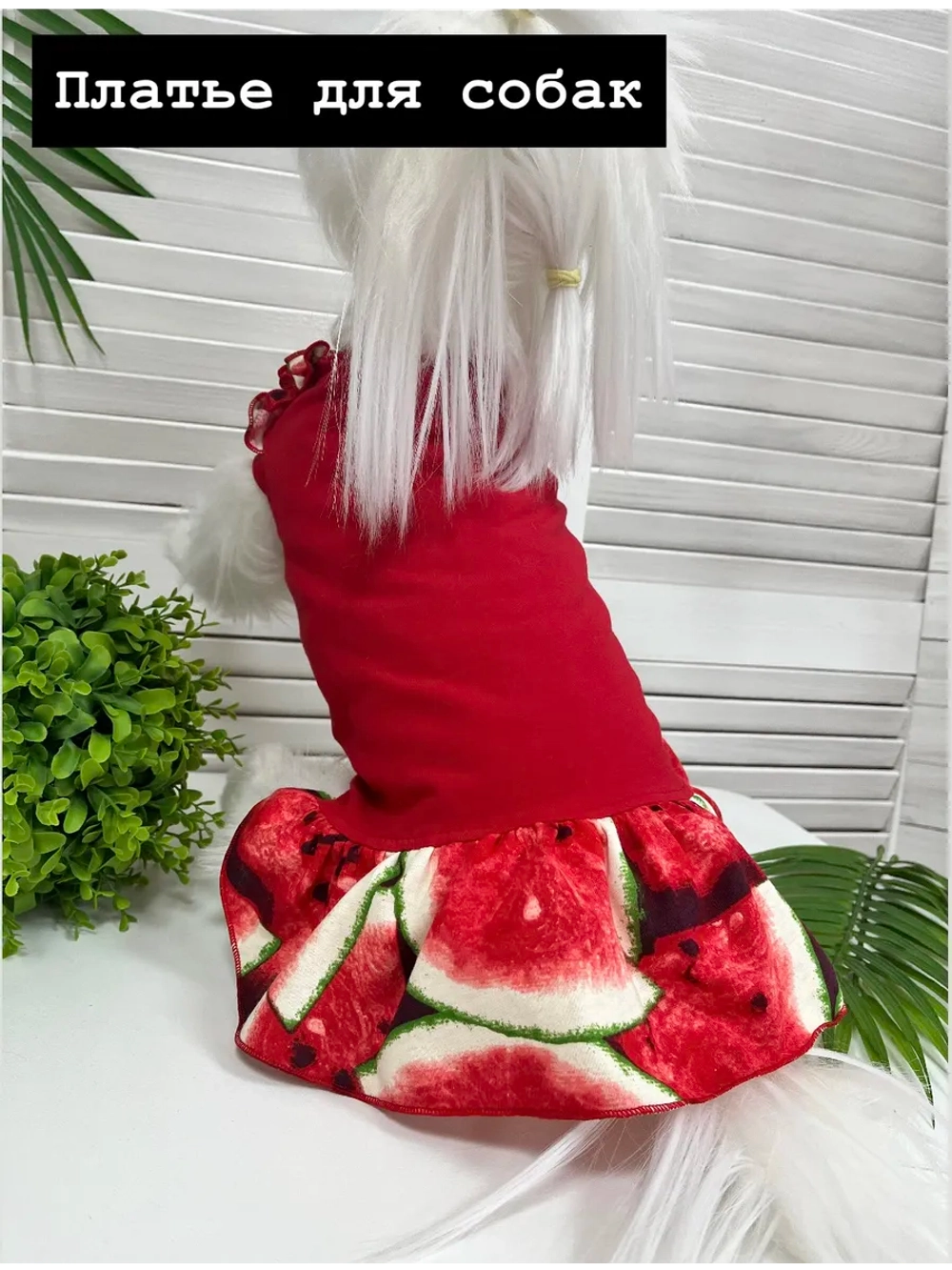 Платье для собак и кошек