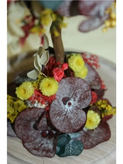 деревце из натуральных цветов в стекле