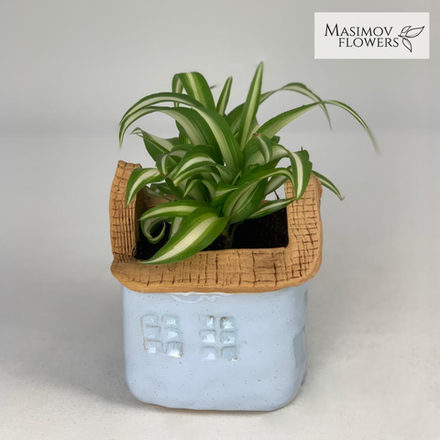 Композиция "Домик дядюшки Тыквы"