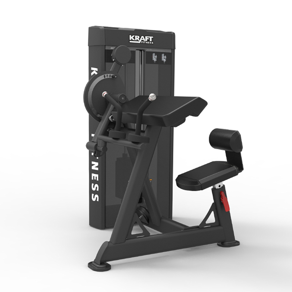Бицепс/Трицепс сидя KRAFT Fitness ADVANT KFADBT