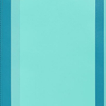 TIFFANY & CO. Twill Leather Storage Bag Laptop Bag Large Unisex Blue