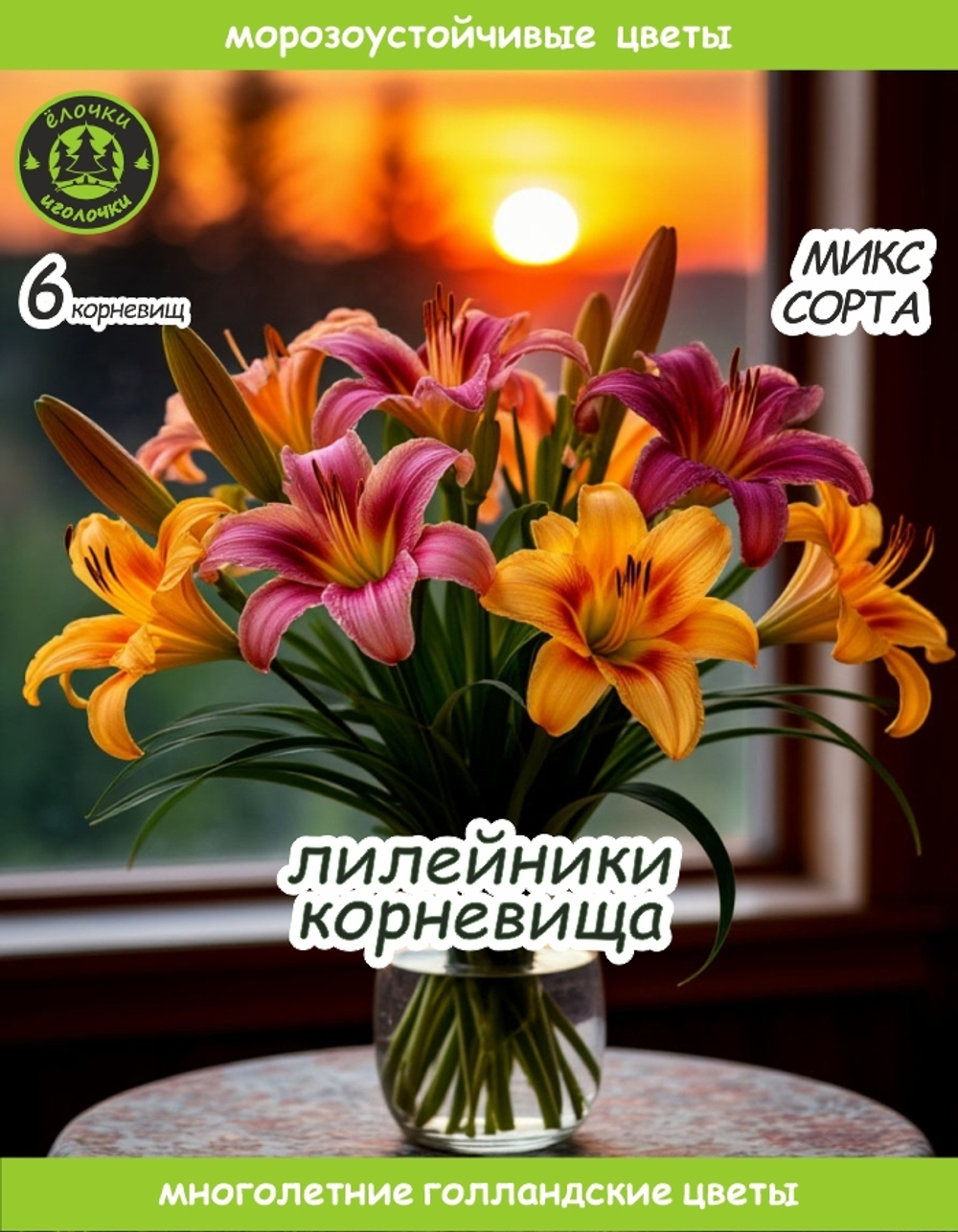 Лилейник Корневище, микс сорта, 6 шт