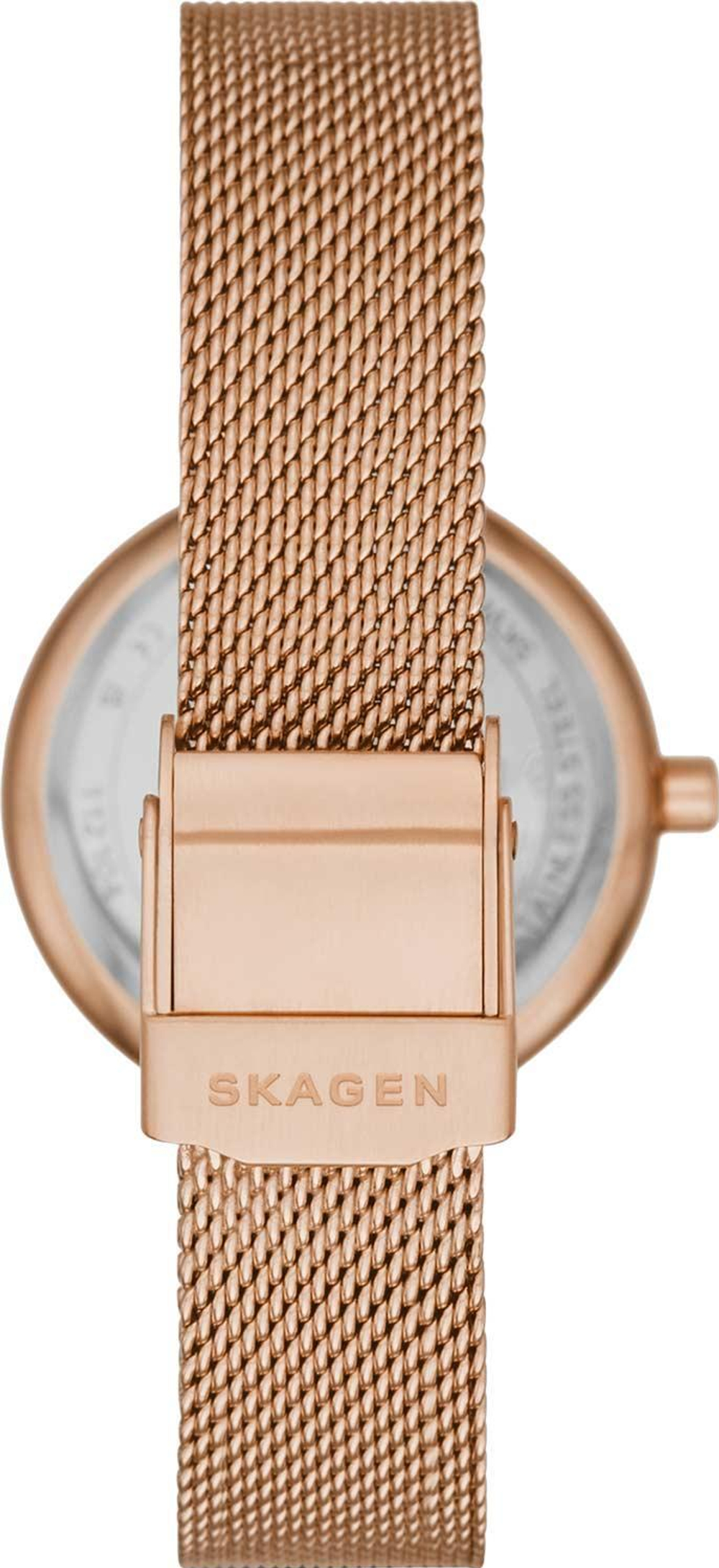 Мужские наручные часы Skagen SKW2955