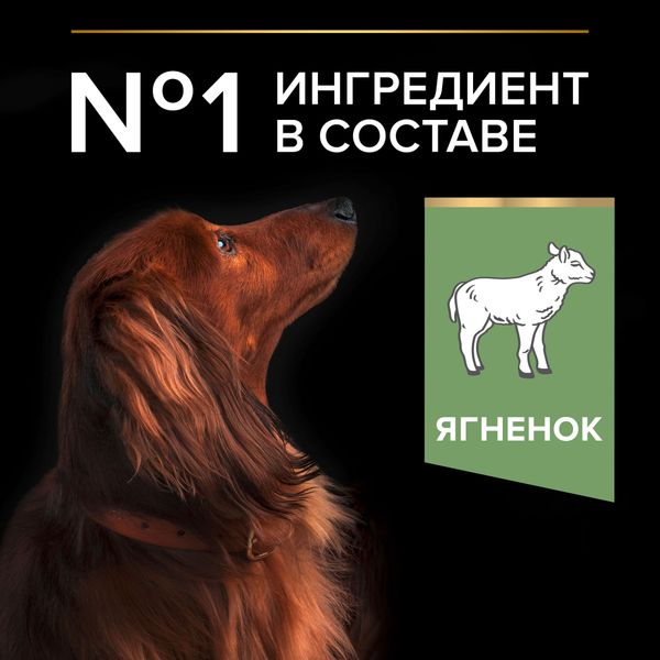 Уценка! Срок 30.07.26/ Сухой корм Pro Plan для взрослых собак мелких и карликовых пород с чувствительным пищеварением, с высоким содержанием ягненка