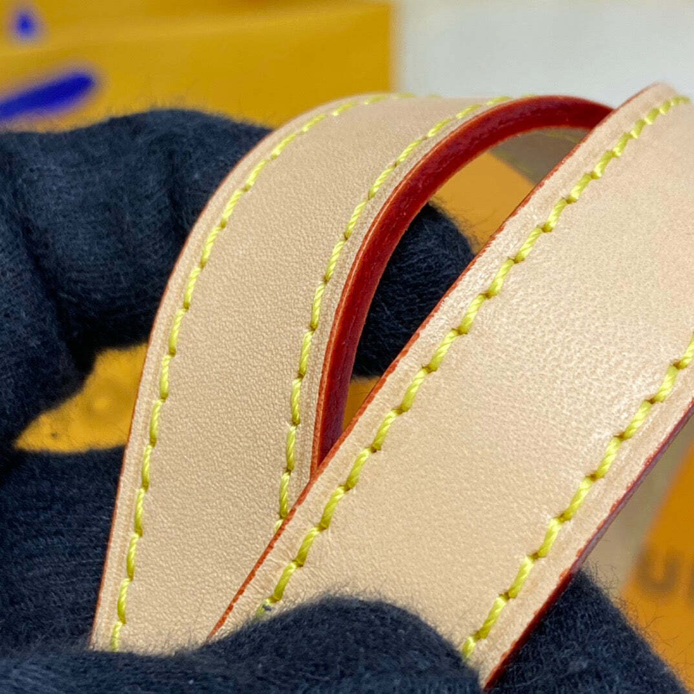 Louis Vuitton Cite GM