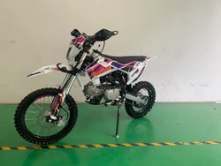 Питбайк JHL Z140E Pro (YX1P56FMJ)