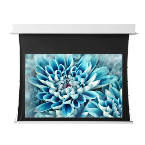 Экран для проектора Viewscreen Annex HT-MI123-16:10-WW5-AACW