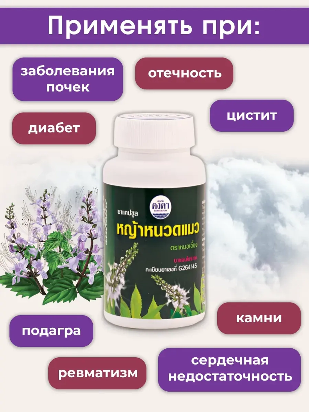 Средство для работы почек Кошачий Ус в капсулах