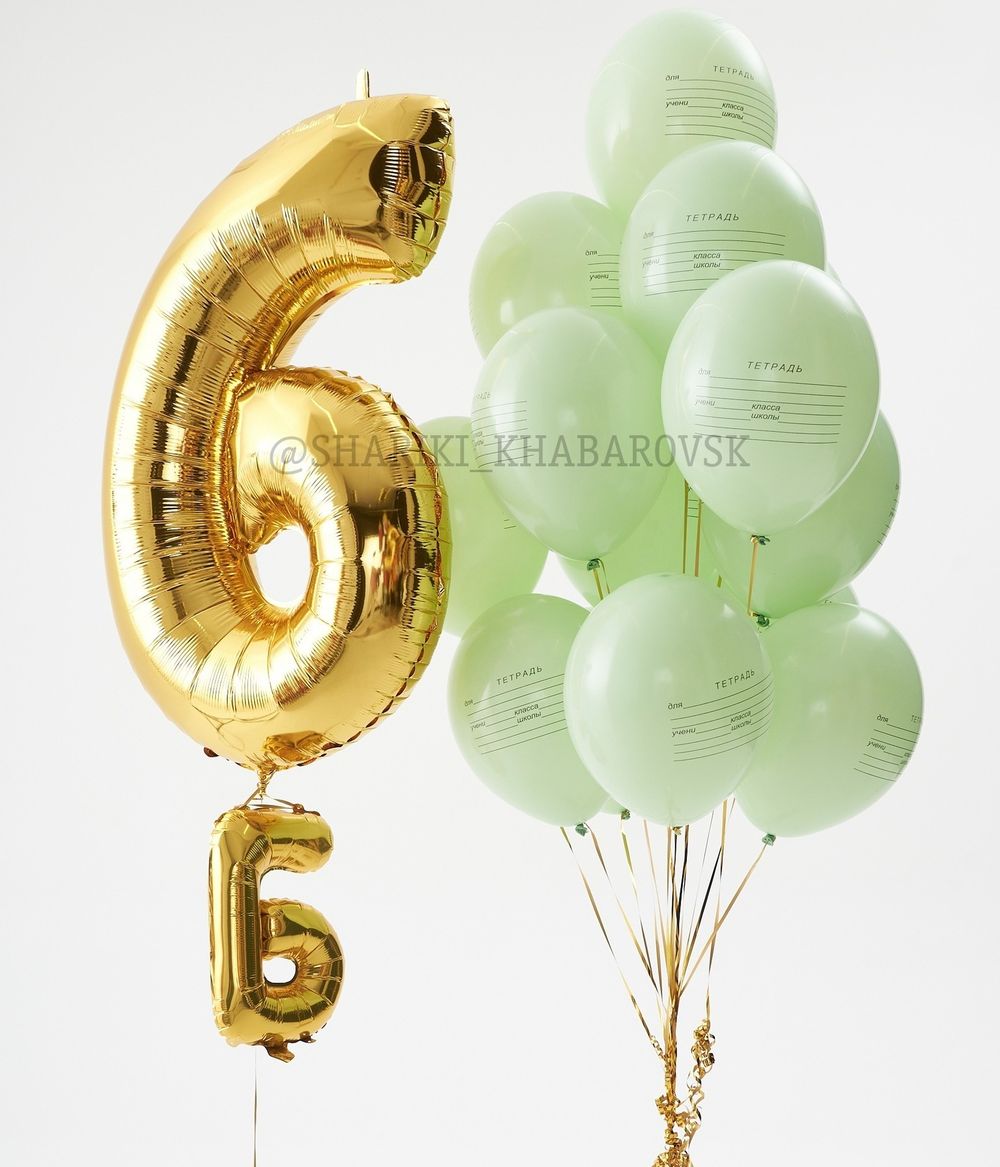Воздушные шары на 1 сентября «Я иду в 6 класс» №1/53  Изображение2