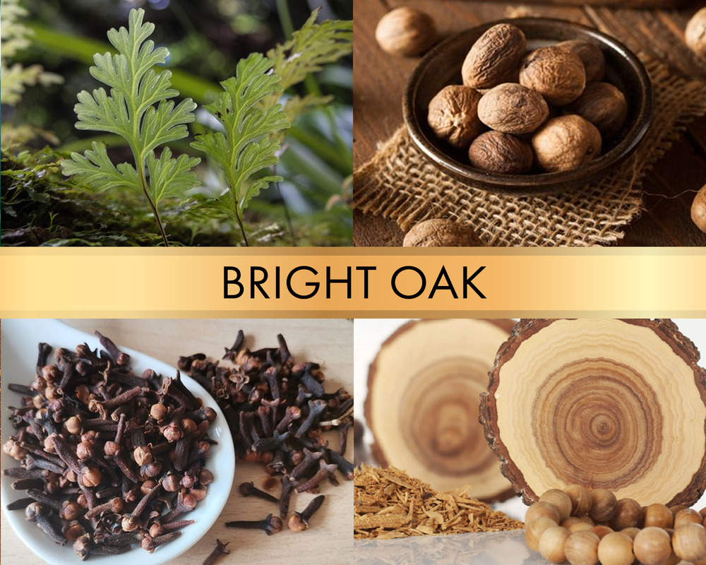 Bright Oak (Белый дуб)