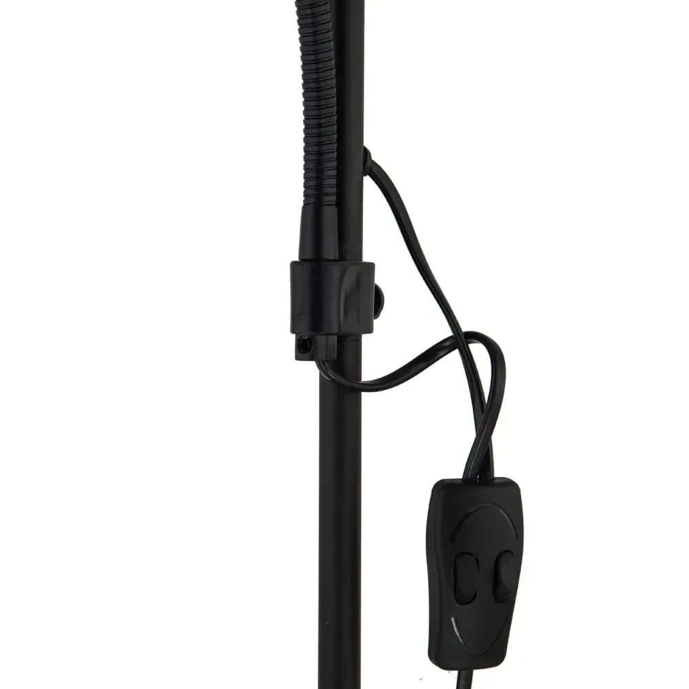 Торшер Arte Lamp