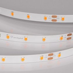 Светодиодная лента RT-A60-8mm 24V Carrot (4.8 W/m, IP20, 5m) (Arlight, -) 055375