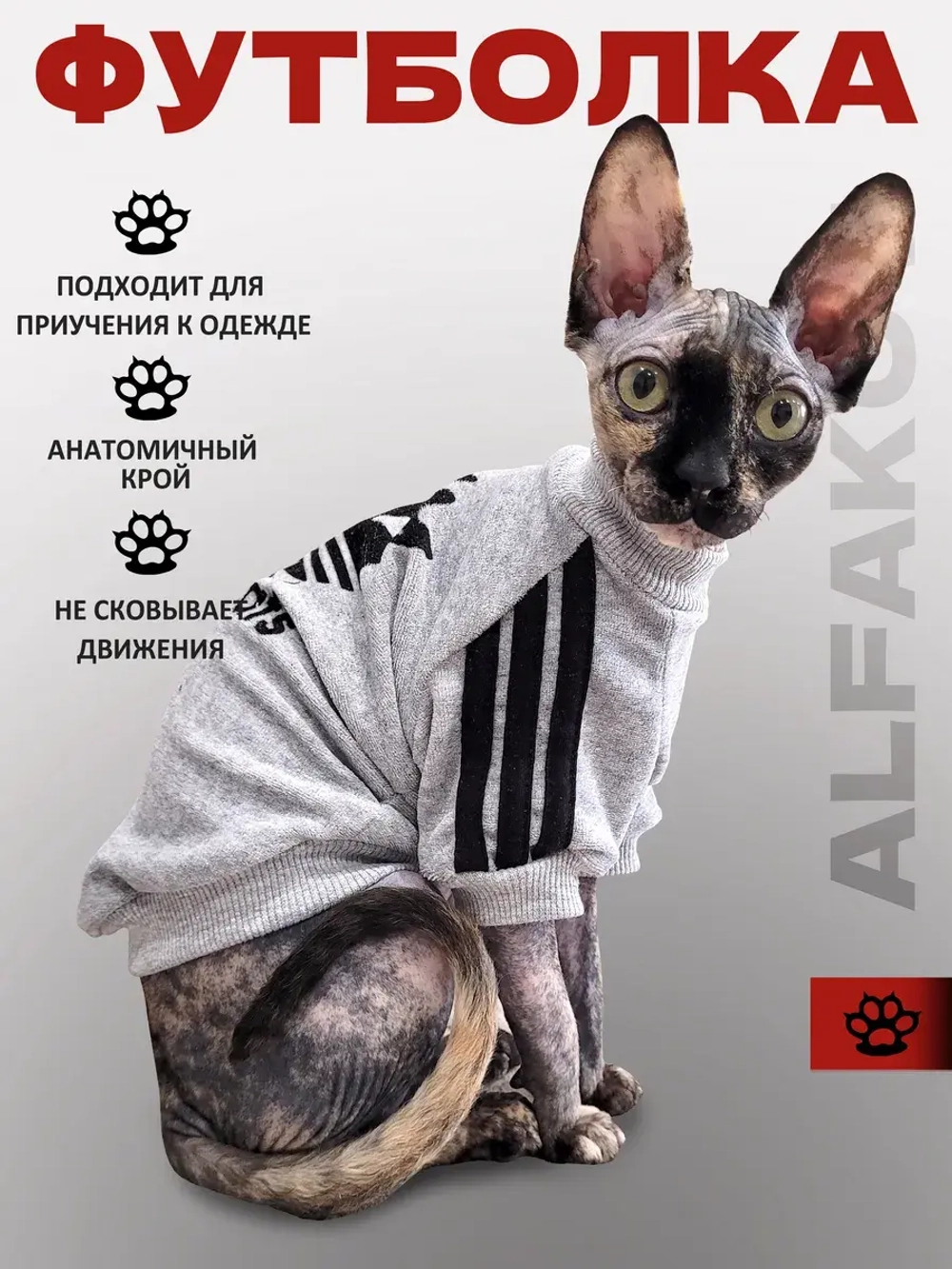 Одежда для кошек