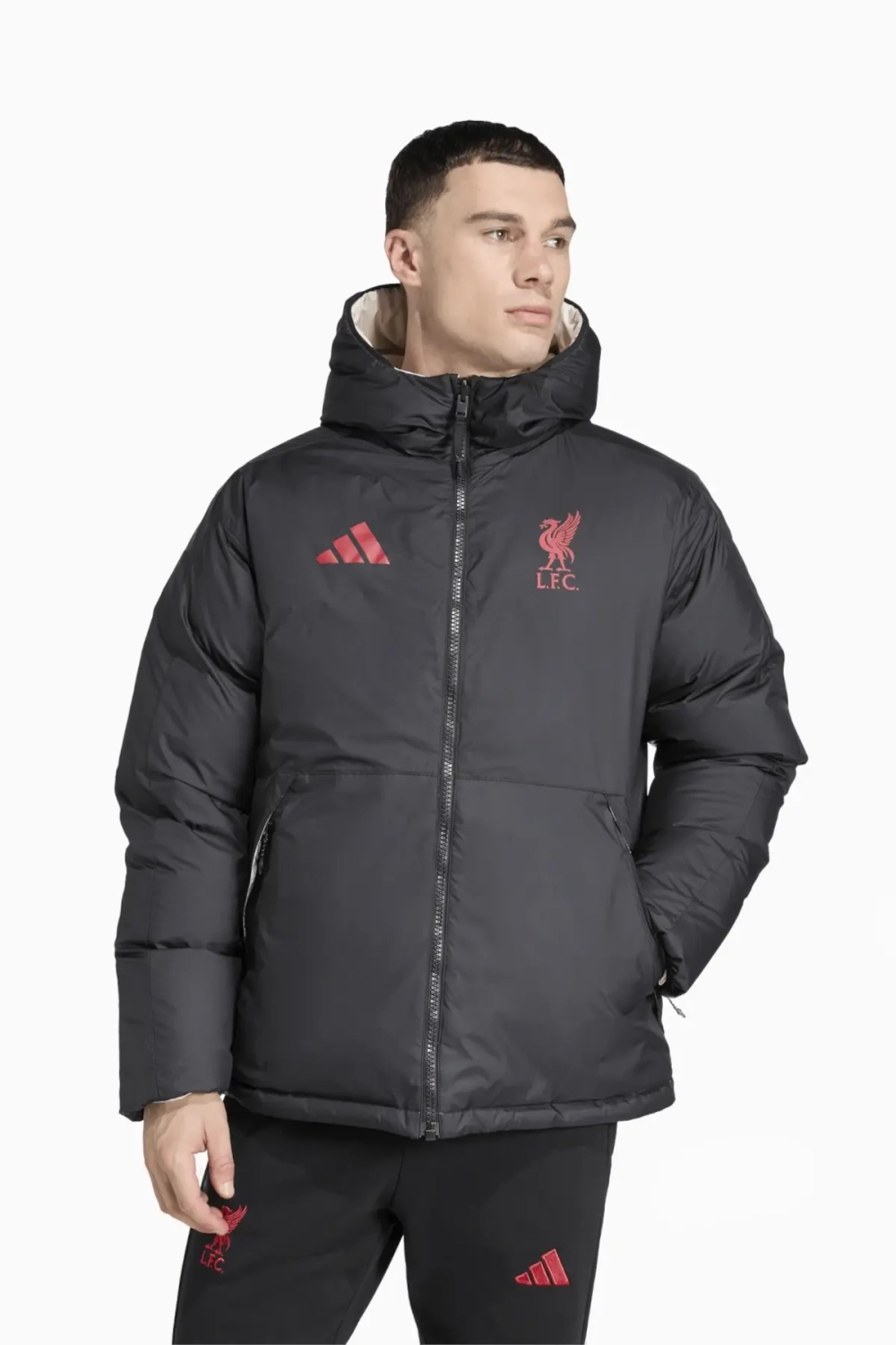 Куртка adidas Liverpool FC 25/26 Reversible Down - черный