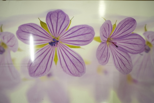 ПАНЕЛЬ ИНТЕРЬЕРНАЯ ПВХ (ФАРТУК) ЛЕСНАЯ ФЕЯ 3000Х600Х1,3ММ