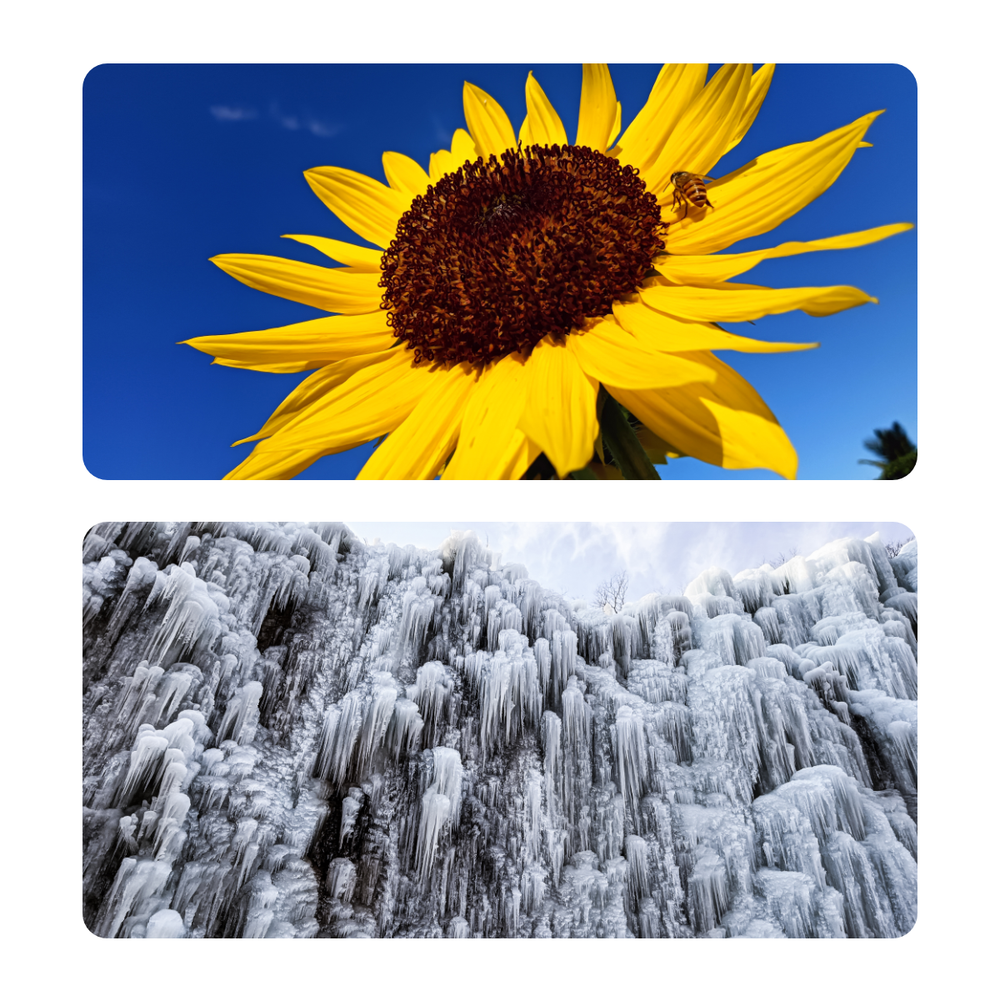 Смартфон realme Note 50 3/64 ГБ RU, Dual nano SIM, полуночно-черный