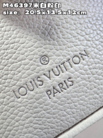 Louis Vuitton Speedy 20