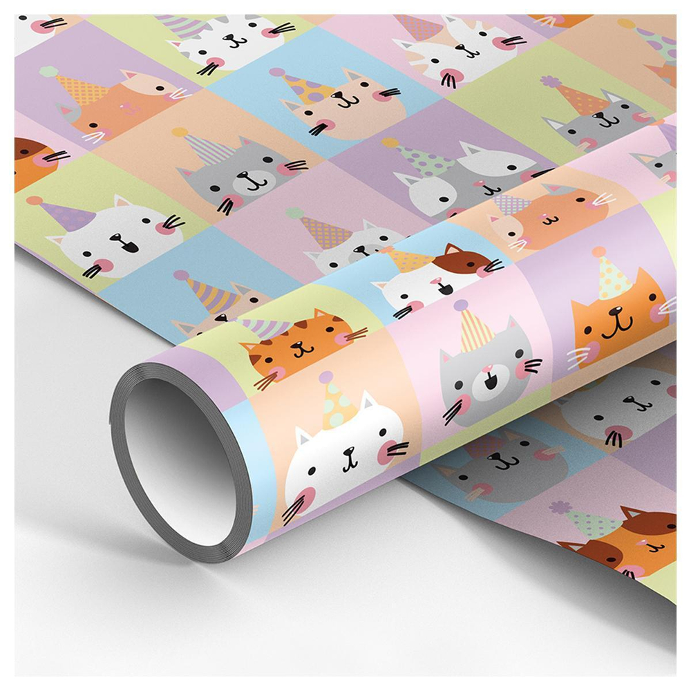 Упаковочная бумага глянц. 70*100см "Bithday friends" (MESHU)