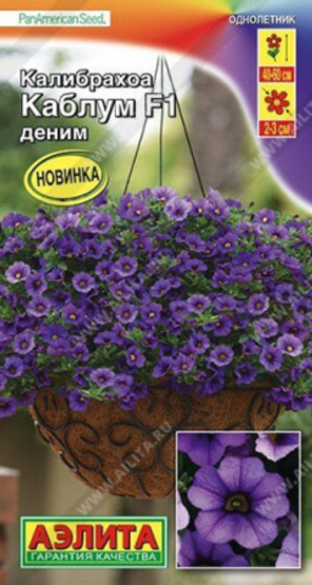 Калибрахоа Каблум деним Аэлита