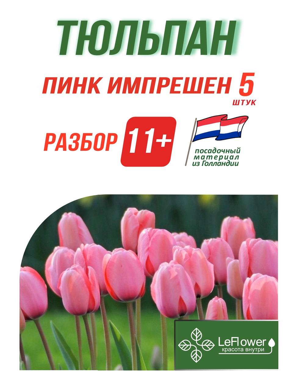 Тюльпан Луковица,Пинк Импрешен  5 шт, разбор 12+