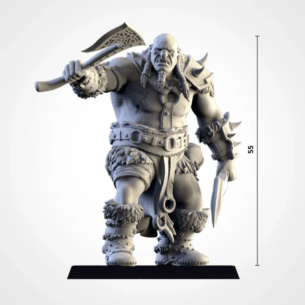 Ogor/Ogre Warrior