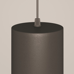 Подвесной светильник Maytoni P085PL-12W4K-B