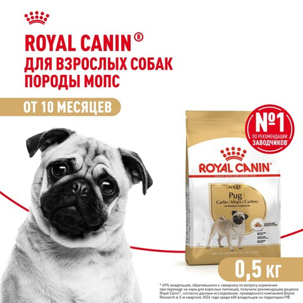 Royal Canin Pug Adult Корм сухой для взрослых собак породы Мопс 500 г