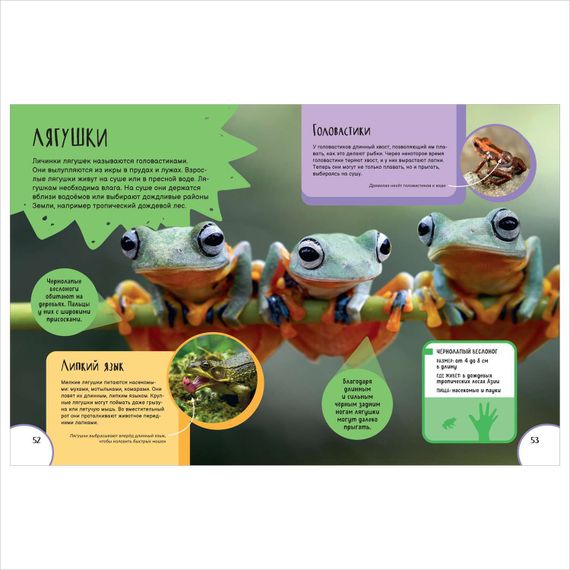 Животные. Лучшая детская энциклопедия