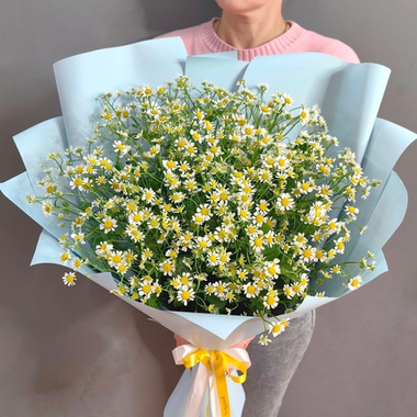 Букет из ромашек