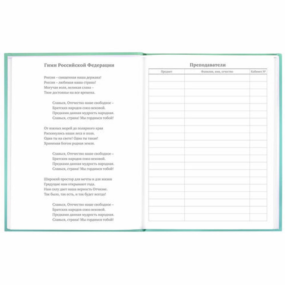 Дневник 5-11 класс 48 л., твердый, BRAUBERG, выборочный лак, с подсказом, "Гусь-джентльмен", 106884