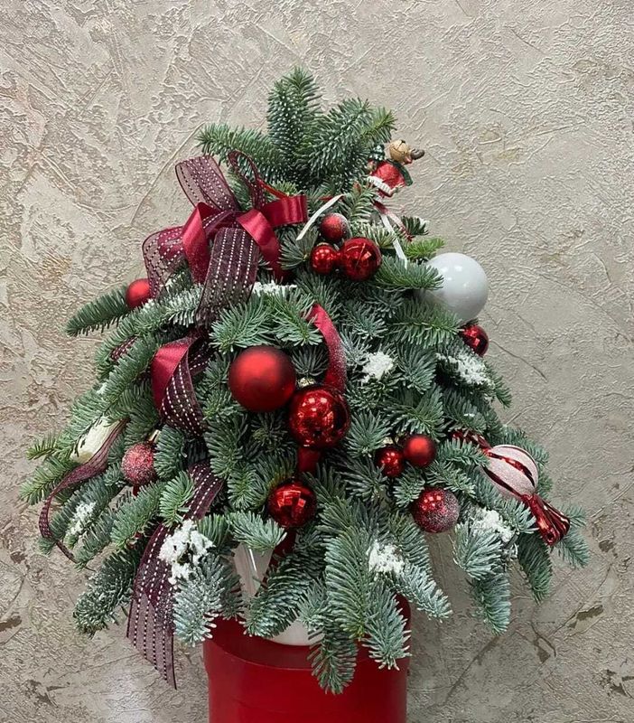 Ёлочка (НГ-21)