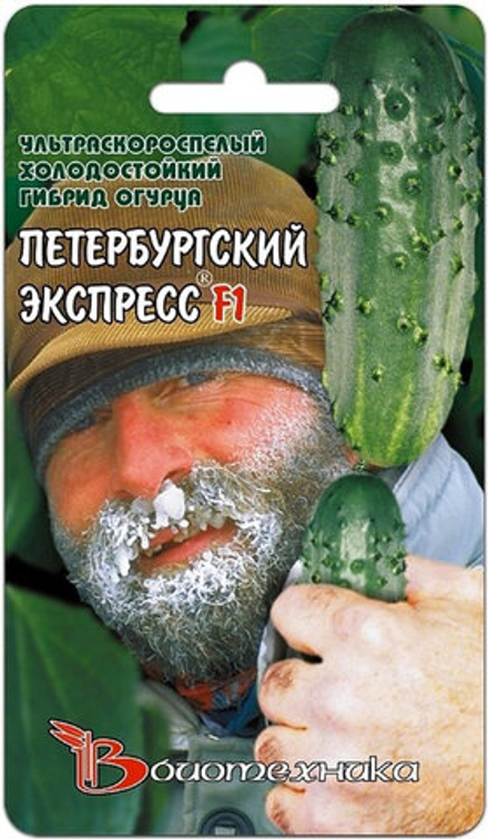 Огурец Петербургский экспресс F1