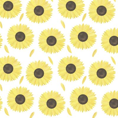 Подсолнухи акварель